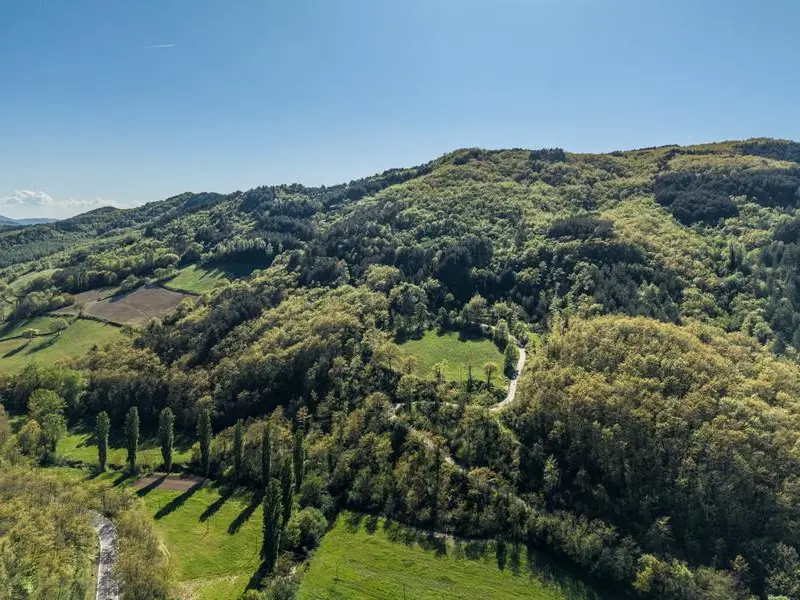 Sulla via di Francesco, nella valle dell’accoglienza