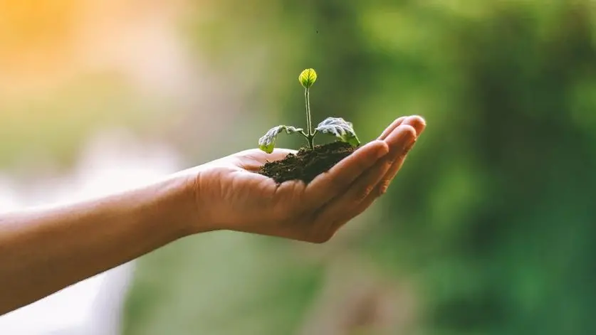 Di quale luce sono io portatore?