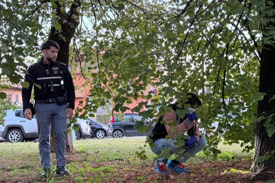 Un neonato \\u00E8 stato trovato in un sacchetto per strada nel pomeriggio di luned\\u00EC 12 ottobre a Cinisello Balsamo, comune alle porte di Milano , ANSA