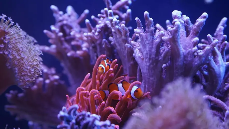 La Croce: un amore che non fugge alla complessità