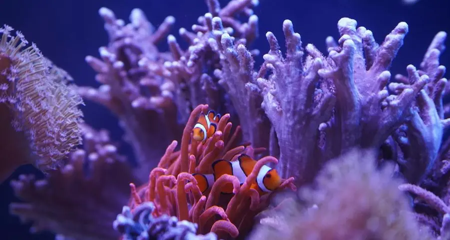 La Croce: un amore che non fugge alla complessità