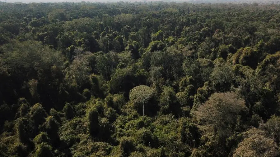 Il mercurio mette a rischio l’Amazzonia: l’allarme degli attivisti sudamericani arrivati in Vaticano