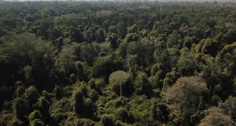 Il mercurio mette a rischio l’Amazzonia: l’allarme degli attivisti sudamericani arrivati in Vaticano