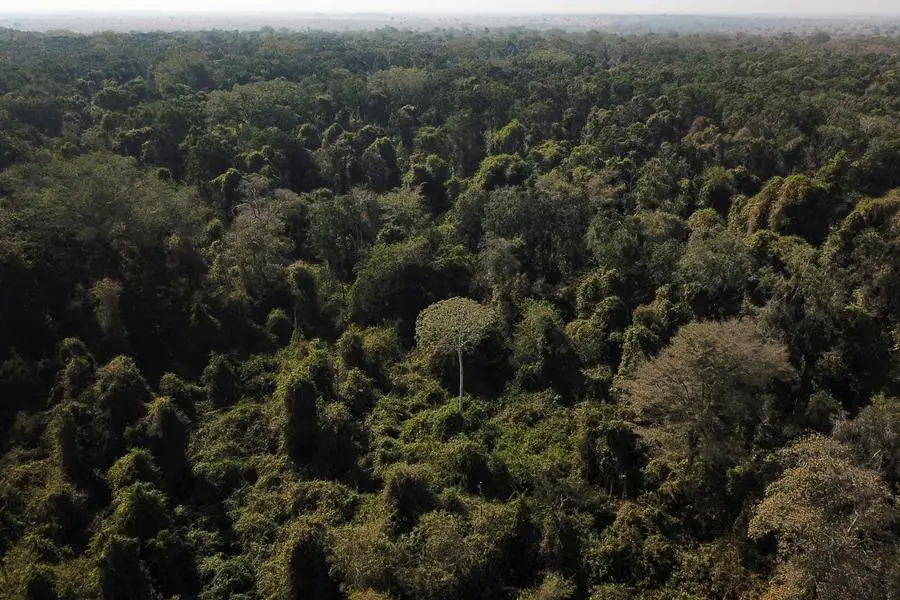La foresta amazzonica. , REUTERS