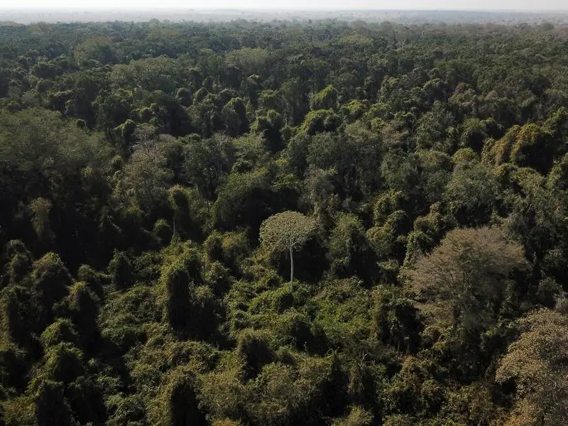 Il mercurio mette a rischio l’Amazzonia: l’allarme degli attivisti sudamericani arrivati in Vaticano