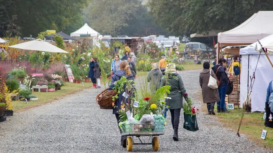 Tre Giorni per il Giardino: a Masino il “potere delle piante”