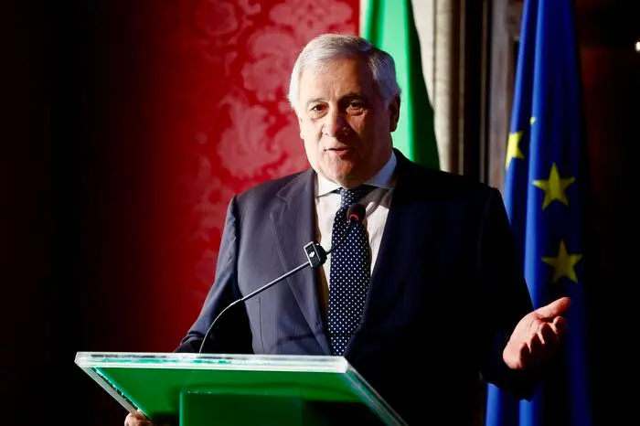 vincenzo livieri