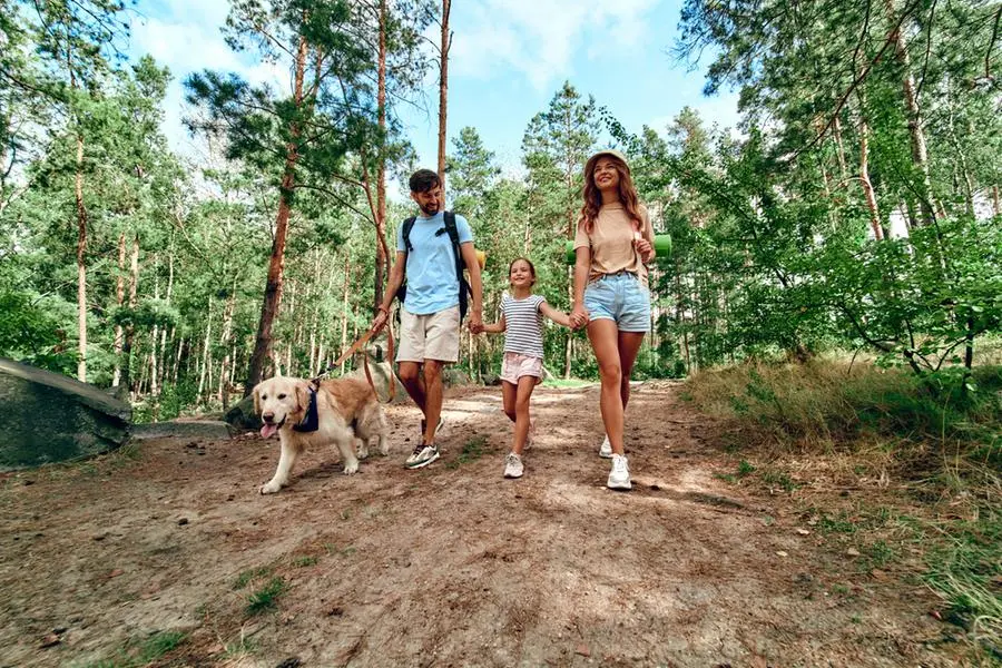 Una famiglia in vacanza , Getty Images/iStockphoto