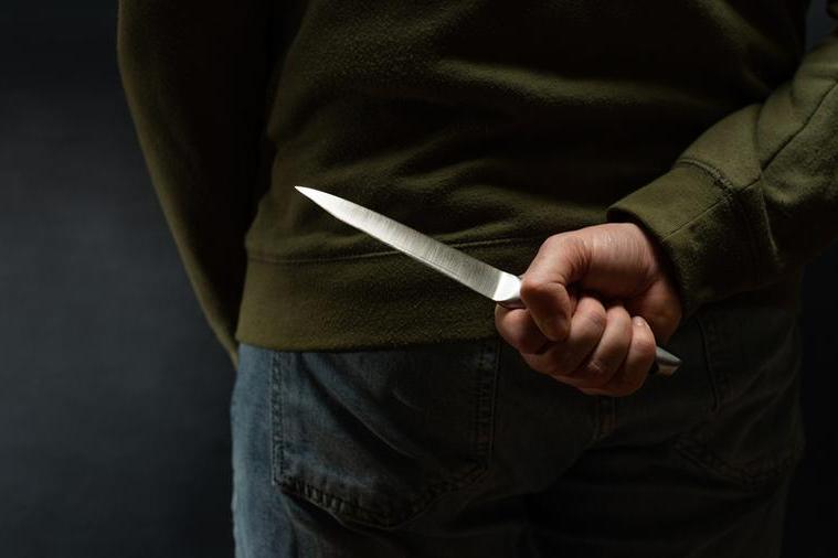Seventeen-year-old kills his aunt in Veneto Seventeen-year-old kills his aunt in Veneto