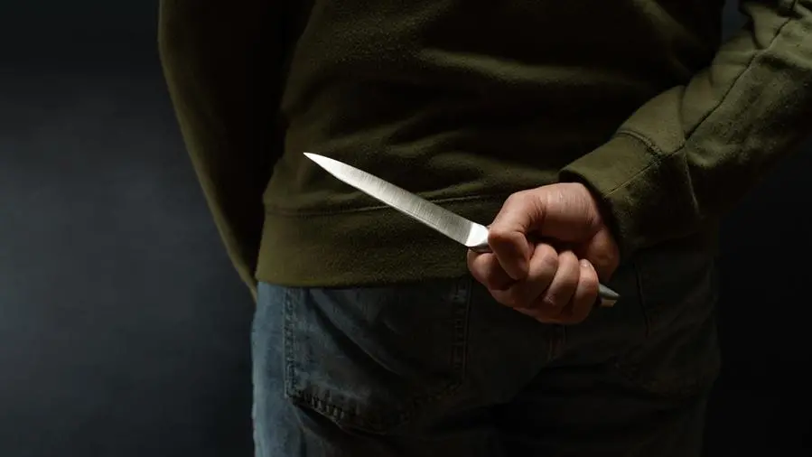 Omicidio in famiglia: nipote adolescente uccide la zia a coltellate