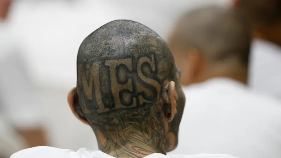 Omicidio Milano Certosa, Pandillas, che cosa sono, perché sono diverse dalle baby gang