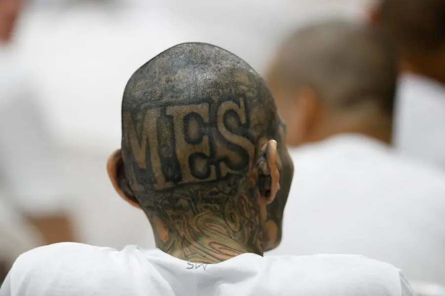 Il tatuaggio di un sospetto membro di Mara Salvatrucha (MS13) in un centro di detenzione a El Salvador. , EPA