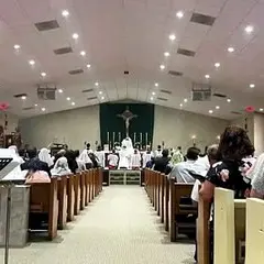 Corpo e sangue di Cristo - Commento al Vangelo - 7 Giugno 2026 - Don Stefano Stimamiglio