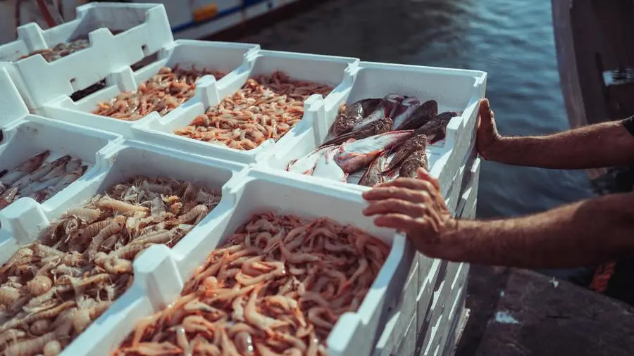 Epatite A, aumento dei casi tra Napoli e Latina: come si trasmette e quali sono i sintomi