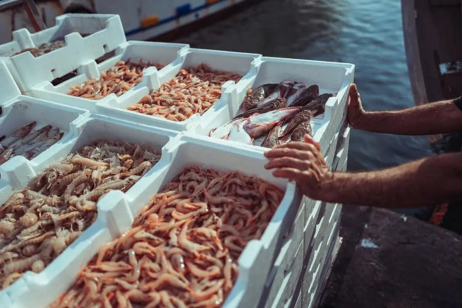 Cassette di pesce appena scaricate da un peschereccio, pronte per la vendita. , iStock