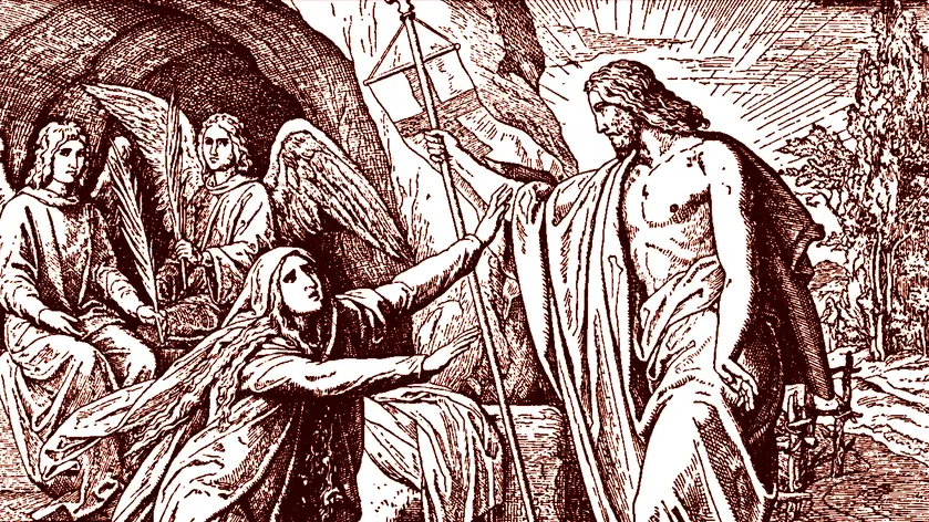 Chi sa accogliere la vita è anche capace di annunciarla