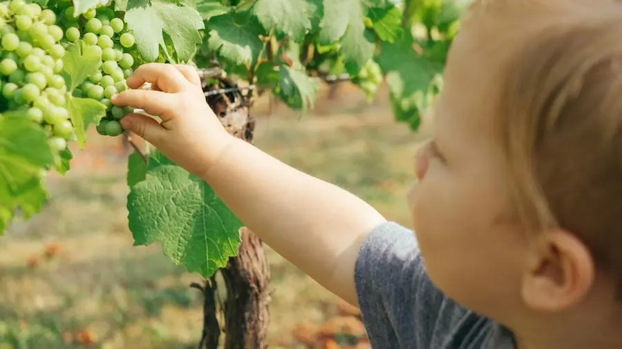 Possiamo convincerci di bastare a noi stessi?