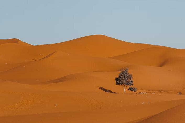 The gravity of a life lived without love – April 1, 2026 The gravity of a life lived without love – April 1, 2026