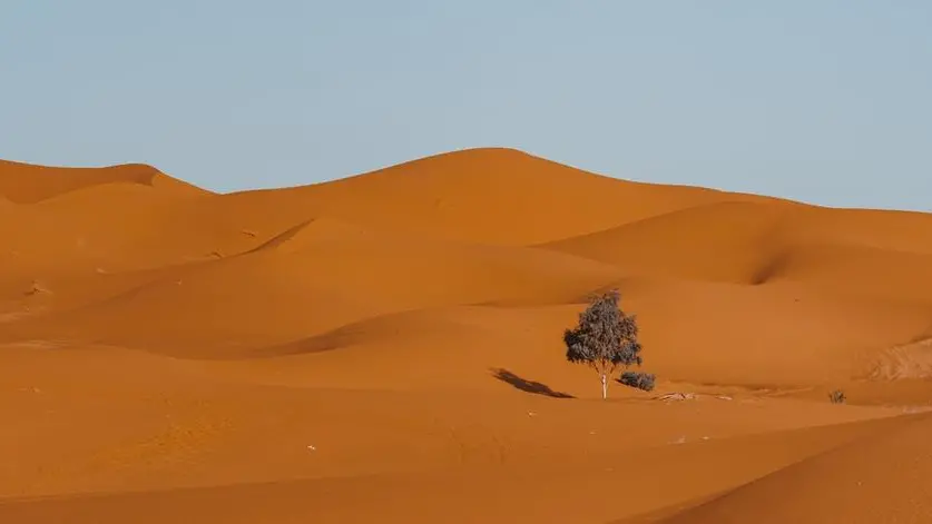 La gravità di una vita vissuta senza amore