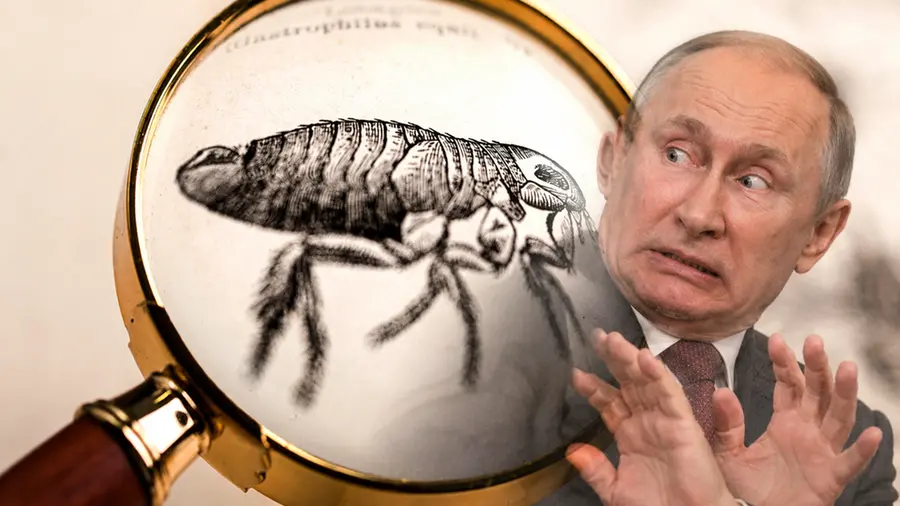 Peste in Russia: la provetta, la ricercatrice morta e il silenzio di Stato. Ecco cosa sappiamo
