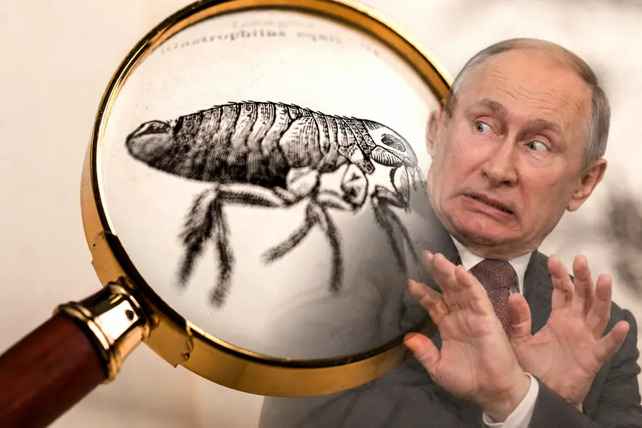 Fotomontaggio a scopo illustrativo con le pulci infettive che causano il contagio della Peste e Vladimir Putin, al potere in Russia da 26 anni in totale (considerando anche il periodo come primo ministro), di cui oltre 21 anni trascorsi specificamente come presidente.