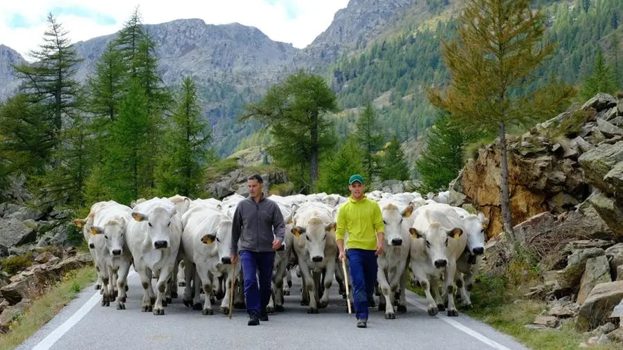 La qualità nasce dalla terra e dalla famiglia