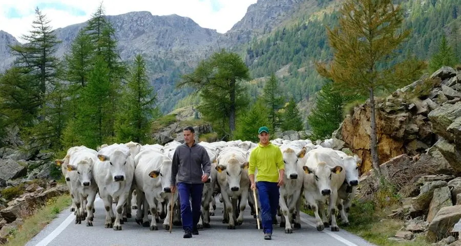La qualità nasce dalla terra e dalla famiglia
