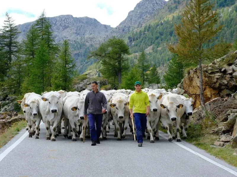 La qualità nasce dalla terra e dalla famiglia