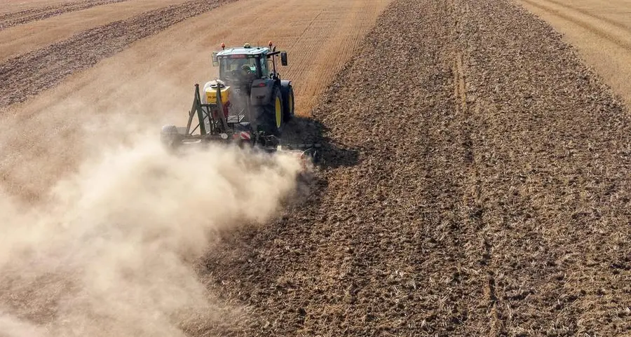 La siccità mette in ginocchio l’agricoltura