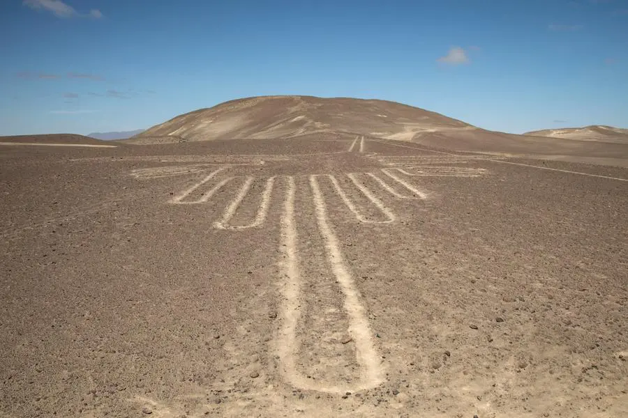 Un particolare delle linee di Nazca.