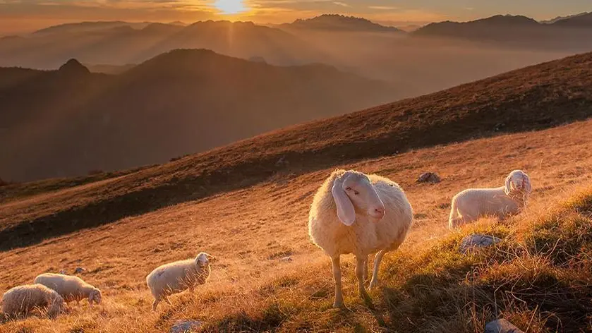 Quali frutti sta portando la mia vita?