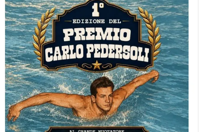 The poster of the first edition of the Carlo Pedersoli award went to Manuel Bortuzzi