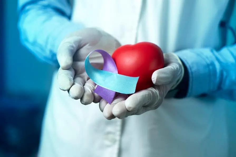 IUGR Awareness Day image, Doctor holding Purple and light blue colour ribbon with Red heart shape, intrauterine growth restriction Awareness concept image , Getty Images