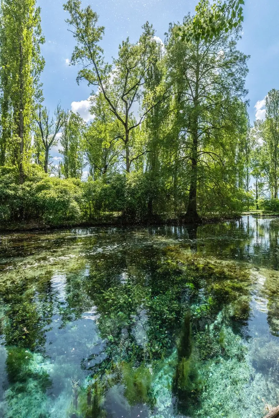 The Fonti del Clitunno nature park. The clear waters were sung by Lord Byron and inspired the Odes of Giosuè Carducci.