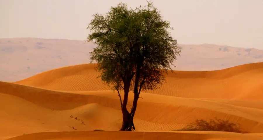 Il nostro è un tempo di martiri, più che nei primi secoli