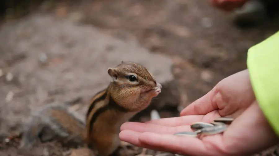 Facciamo i conti su ciò che non abbiamo