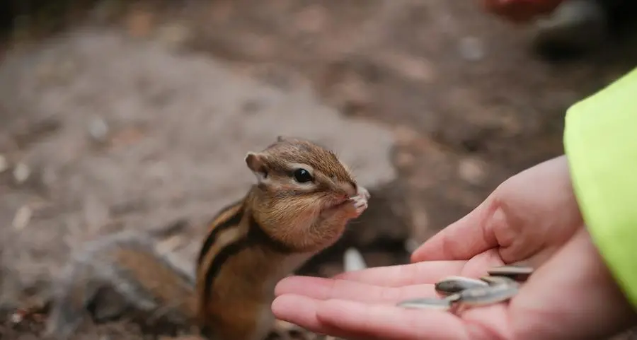 Facciamo i conti su ciò che non abbiamo