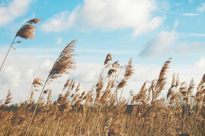 We stopped looking at those around us – March 9, 2026 We stopped looking at those around us – March 9, 2026