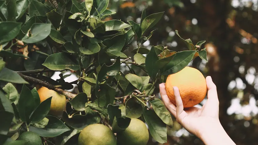 Non tutto ciò che è urgente è essenziale