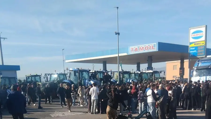 Caro gasolio, protesta di agricoltori e camionisti in Puglia: supermercati senza merci e famiglie in difficoltà