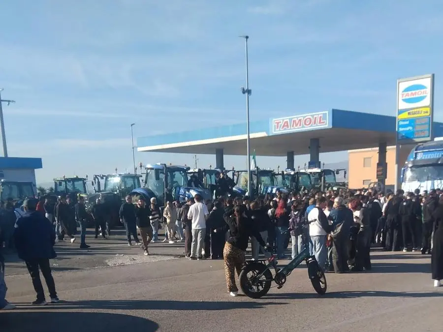 Caro gasolio, protesta di agricoltori e camionisti in Puglia: supermercati senza merci e famiglie in difficoltà