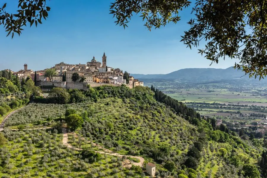 Una veduta di Trevi, splendido borgo che custodisce opere d\\u2019arte sulla vita di san Francesco. , carlos solito