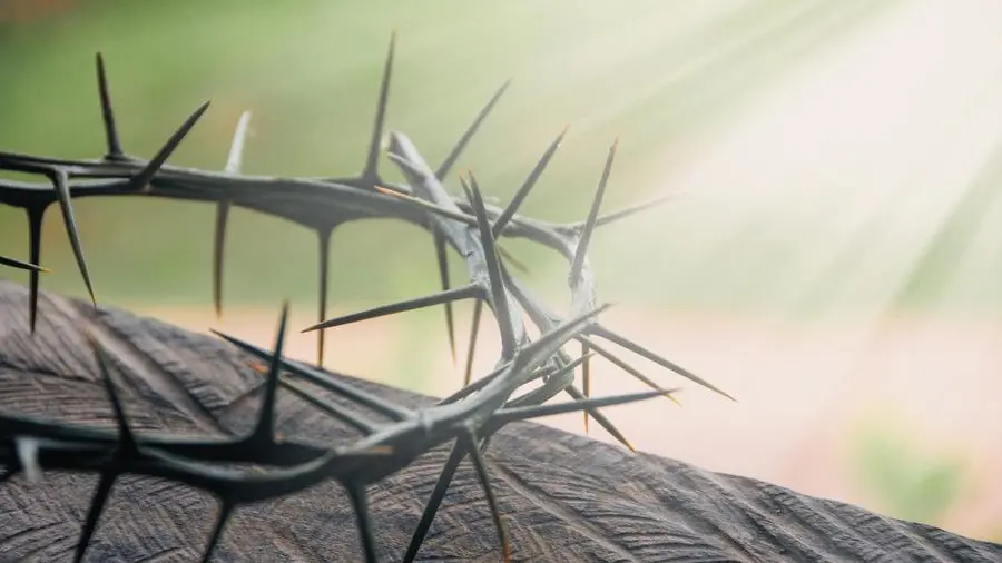 Sprigiona l'aquila che è in te