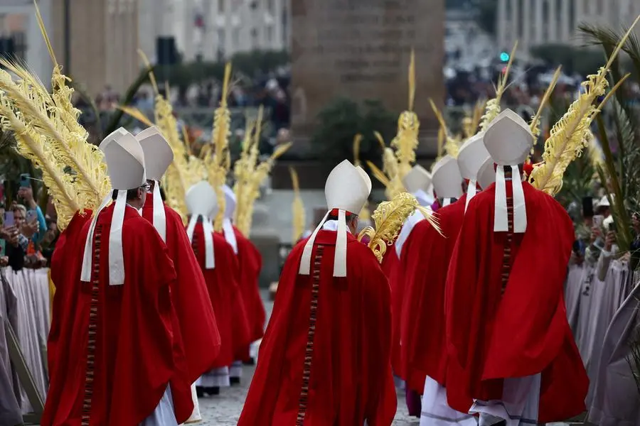 Palme intrecciate in mano ai Cardinali in piazza San Pietro. , REUTERS