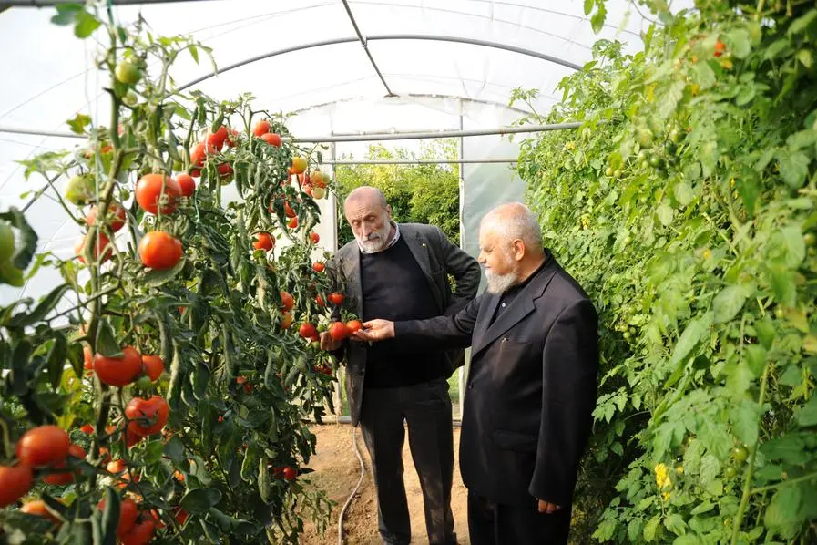 Il monaco Enzo Bianchi, nato a Castel Boglione (Asti), il 3 marzo 1943, con l\\u2019amico Carlo Petrini (Bra, 22 giugno 1949), a Bose (Biella).