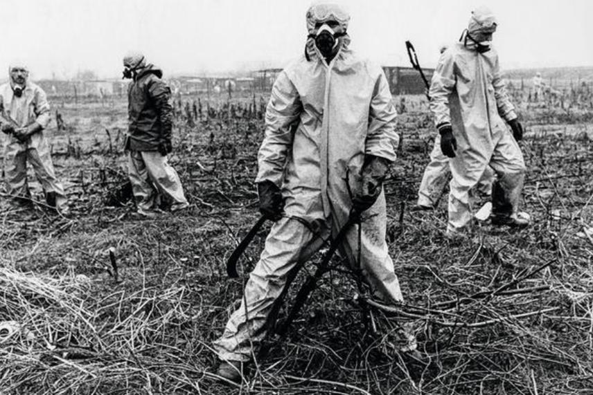 Seveso, when the air became poison Seveso, when the air became poison