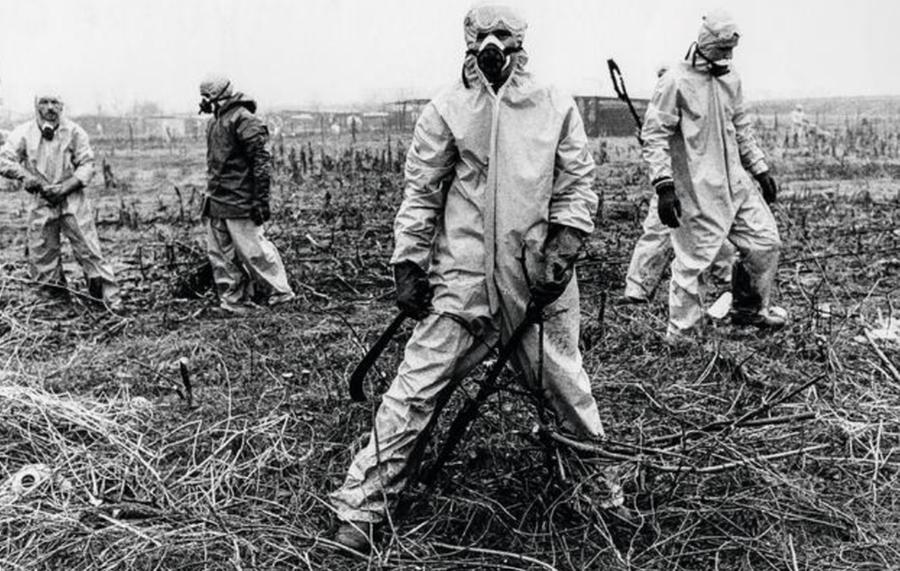 Seveso, when the air became poison