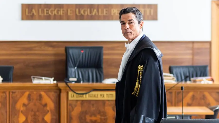 La regola dell’equilibrio: chi è l’avvocato Guerrieri tra romanzi e serie TV