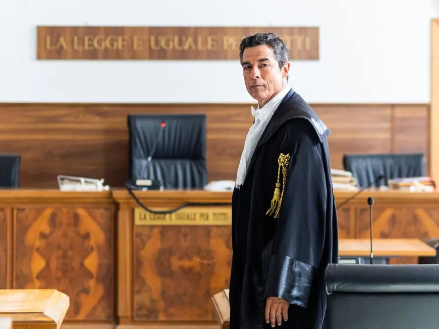 La regola dell’equilibrio: chi è l’avvocato Guerrieri tra romanzi e serie TV