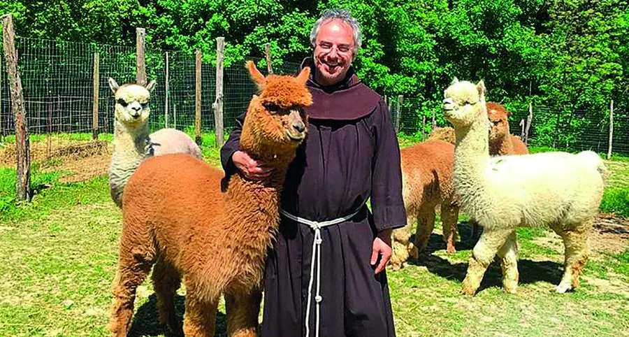 Nelle Marche i frati allevano alpaca e realizzano sogni: «I poveri sono la mia preghiera»